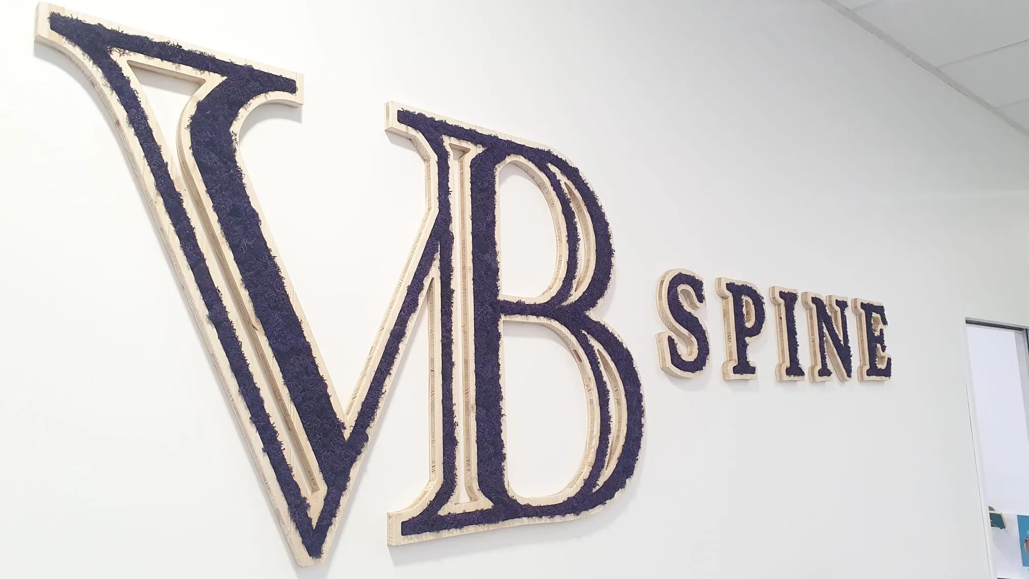 Logo végétal coloris violet, VB Spine, Cestas (33) — réalisation PUBLI MENI