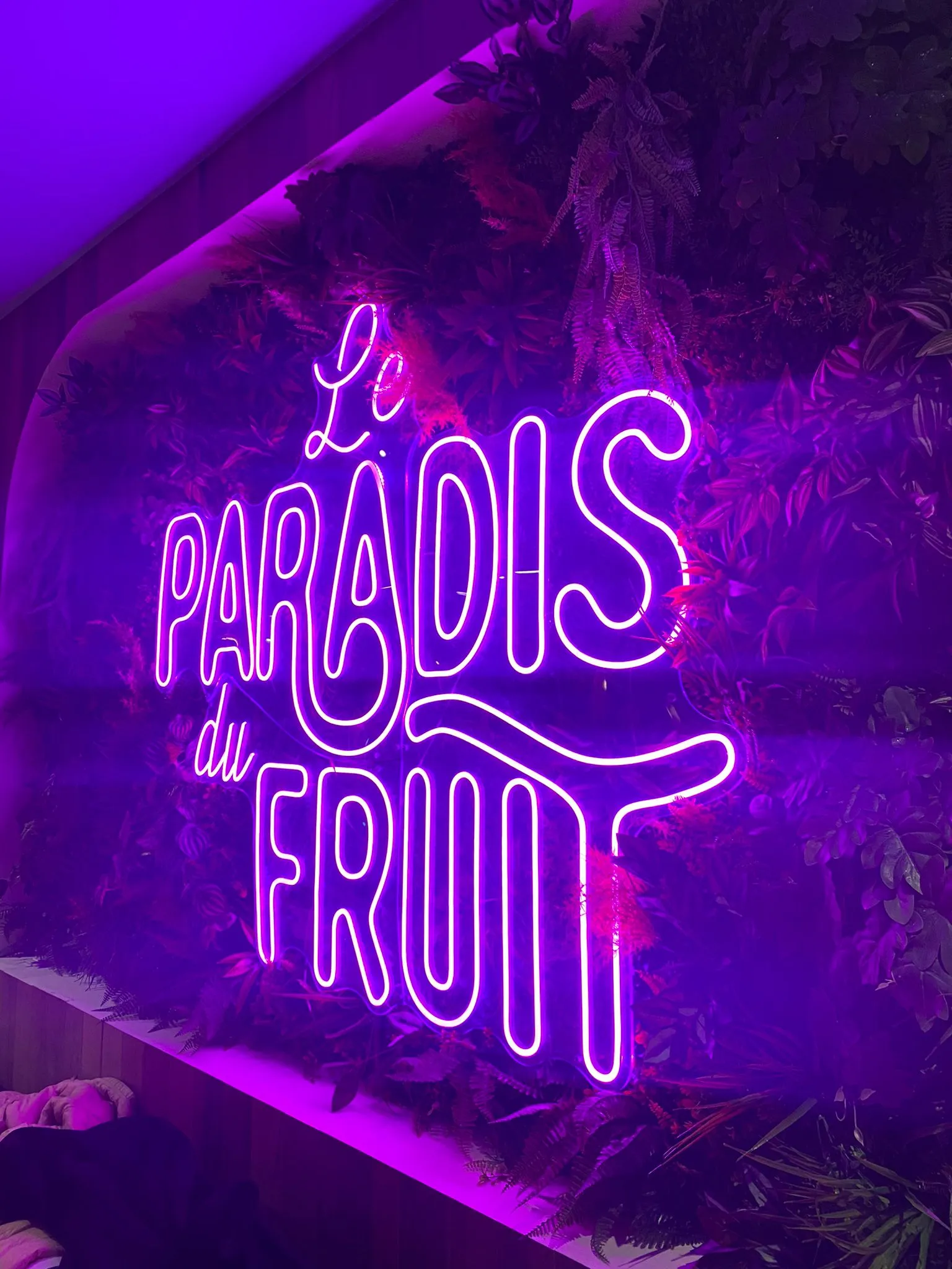 Néon LED, Le Paradis du Fruit, Bordeaux (33) — réalisation PUBLI MENI