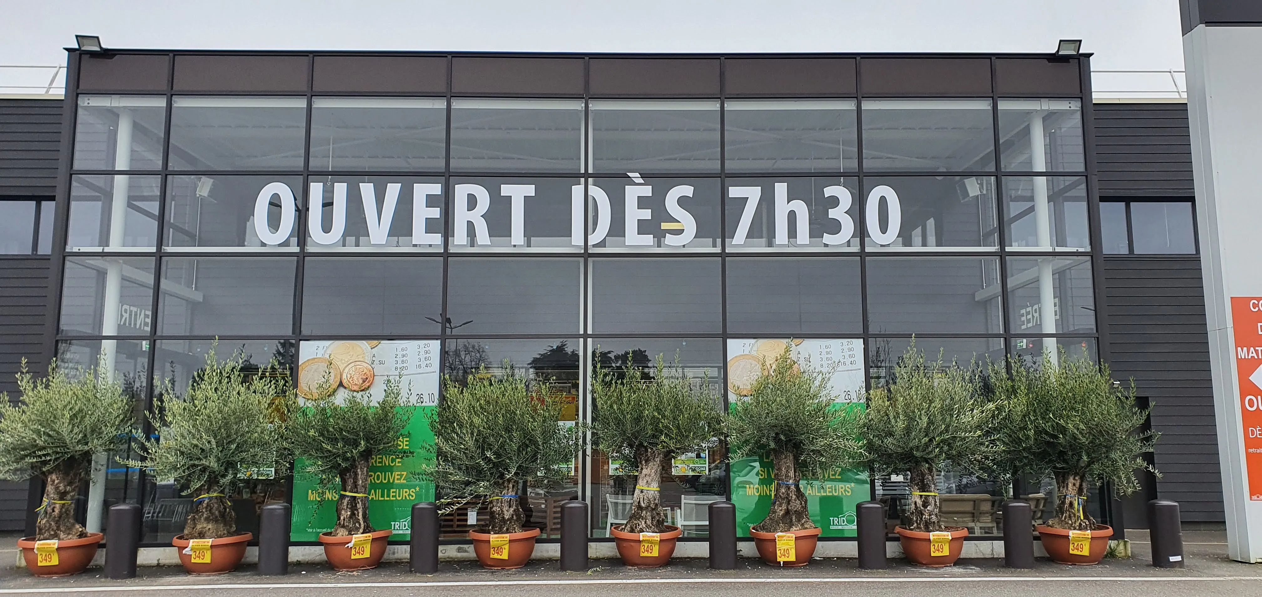 Lettres adhésives vitrine Tridôme Marmande