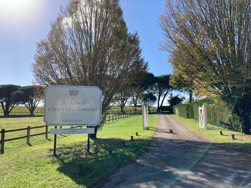 Château de Fargues, Sauternes — vue générale du domaine