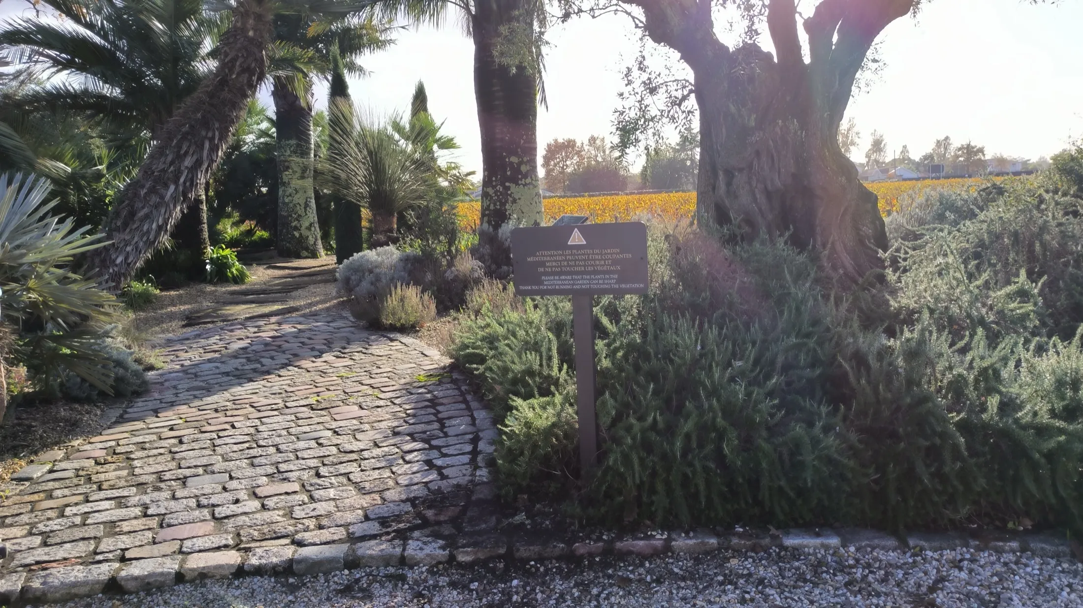 Château Pape Clément, Pessac — signalétique d'information et de sécurité dans le jardin méditerranéen du domaine, en français et en anglais