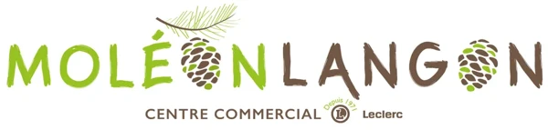 Logo Moléon Langon