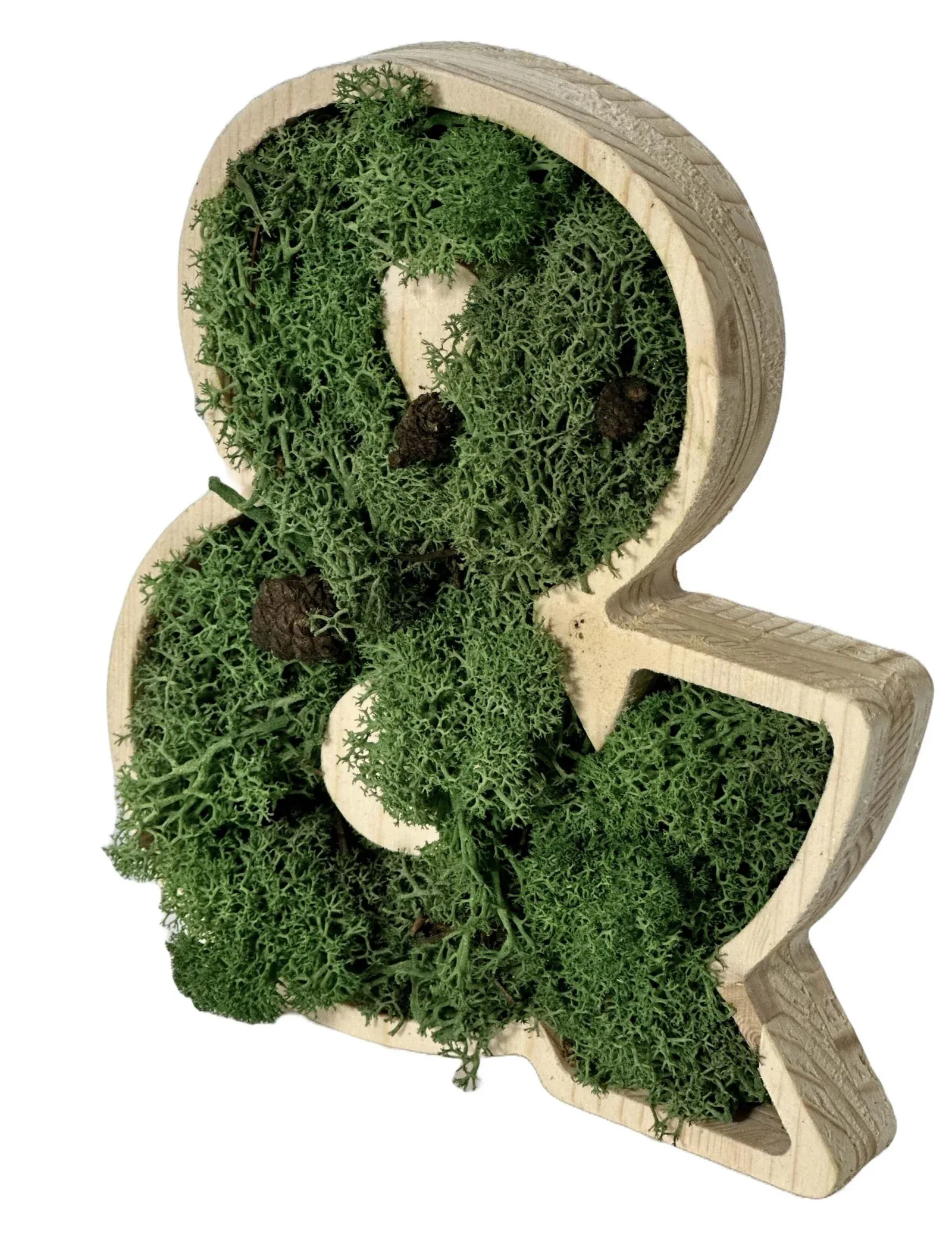Logo en bois découpé garni de lichen stabilisé vert